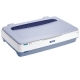 SCANNER EPSON GT-20000 23PPM A3 600x1200DPI SCSI/USB 2.0