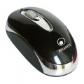 MINI MOUSE ATLANTIS "P009-TM032-B" SCROLL USBﾸ Black