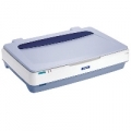 SCANNER EPSON GT-20000 23PPM A3 600x1200DPI SCSI/USB 2.0