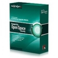 MULTILICENZA KASPERSKY Work Space Security x Workstation e Smartphone 20-24 User 1 anno Licenza Base