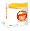 Apri il tuo sito web integrato ad eBay BASIC Canone Mensile 300 Inserzioni Max