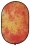 PANNELLO BACKGROUND 10 ORANGE PASSION
